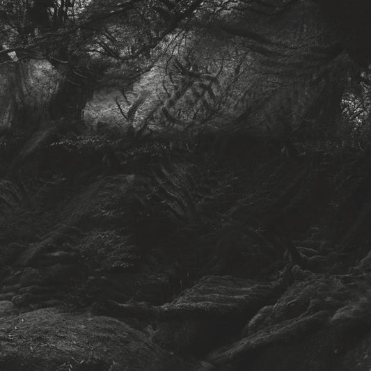 Carlos Casas - Mutia