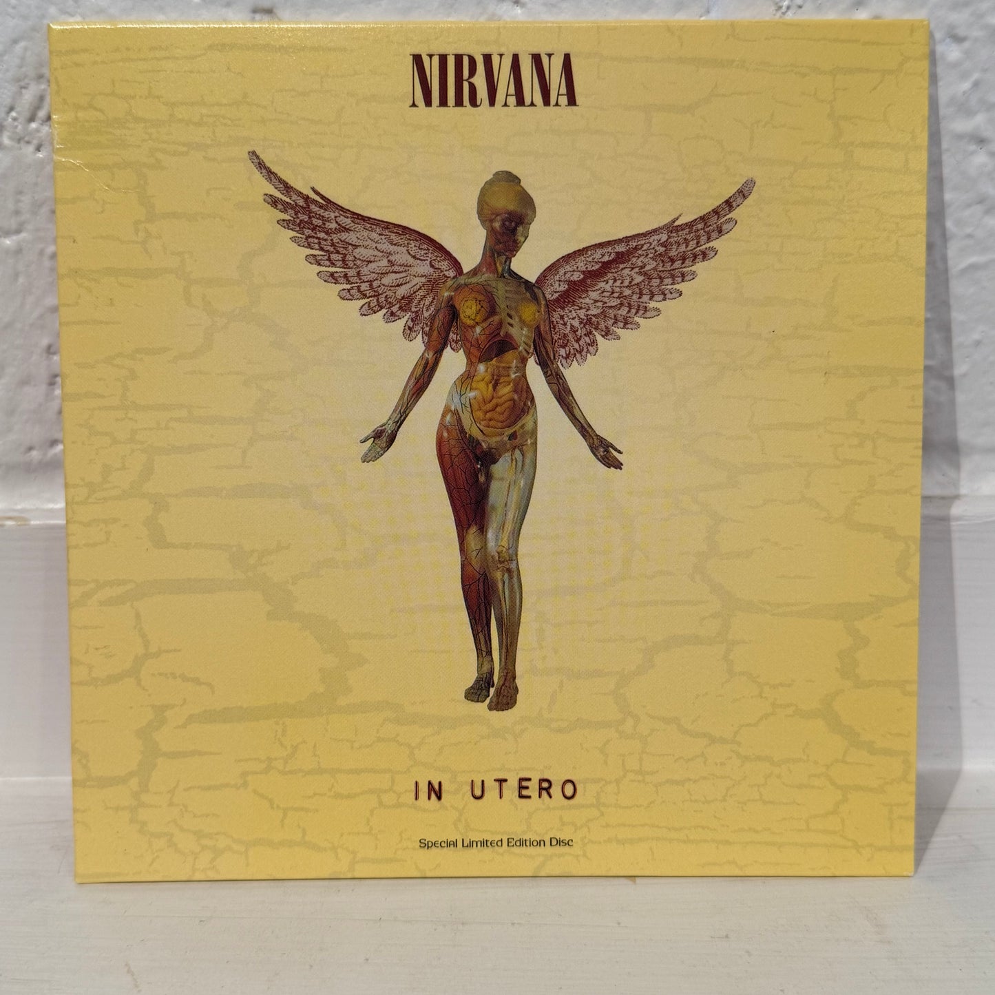 Nirvana – In Utero