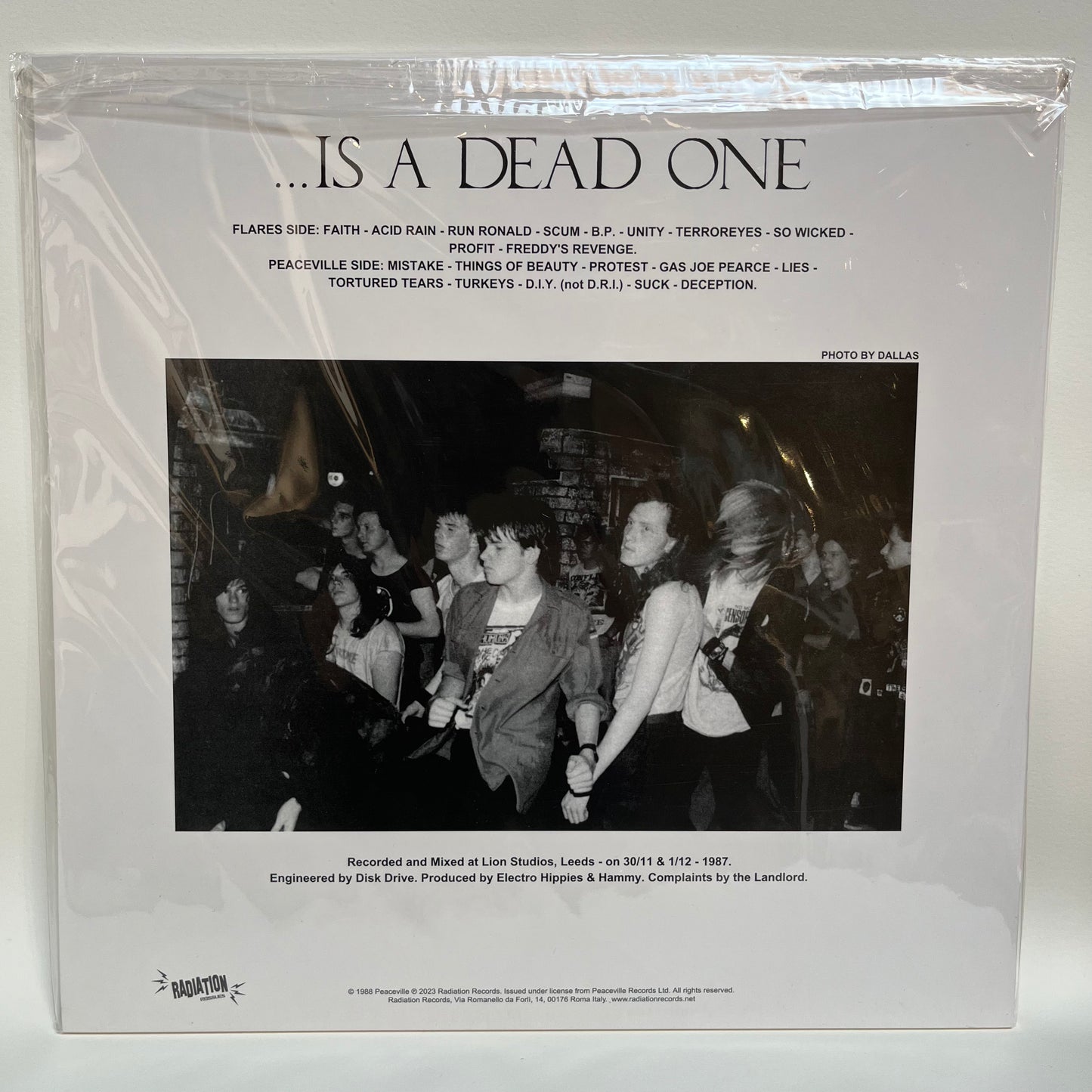 Electro Hippies - The Only Good Punk...Is A Dead One