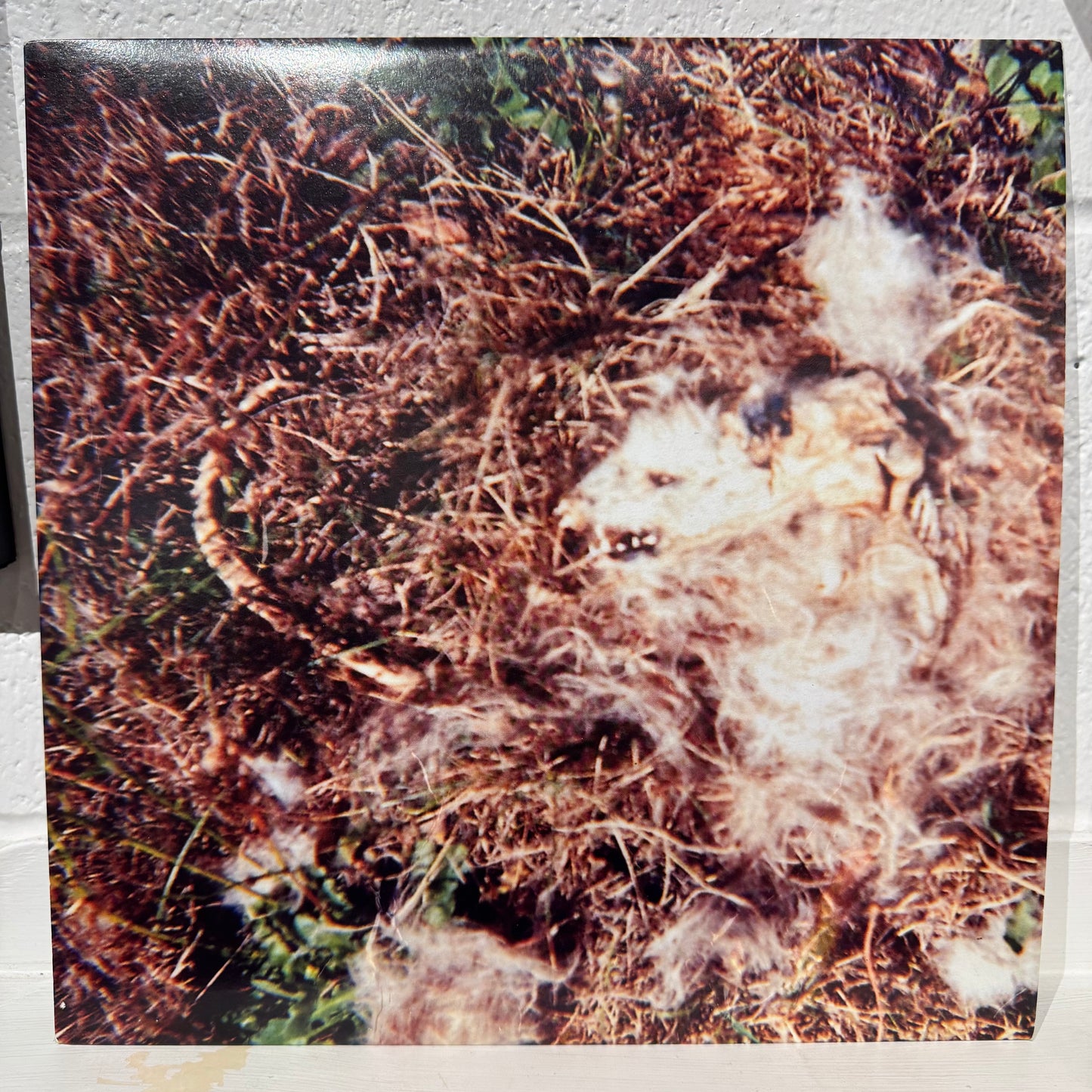 Sewn Leather – I Live Like This Cuz I Like It