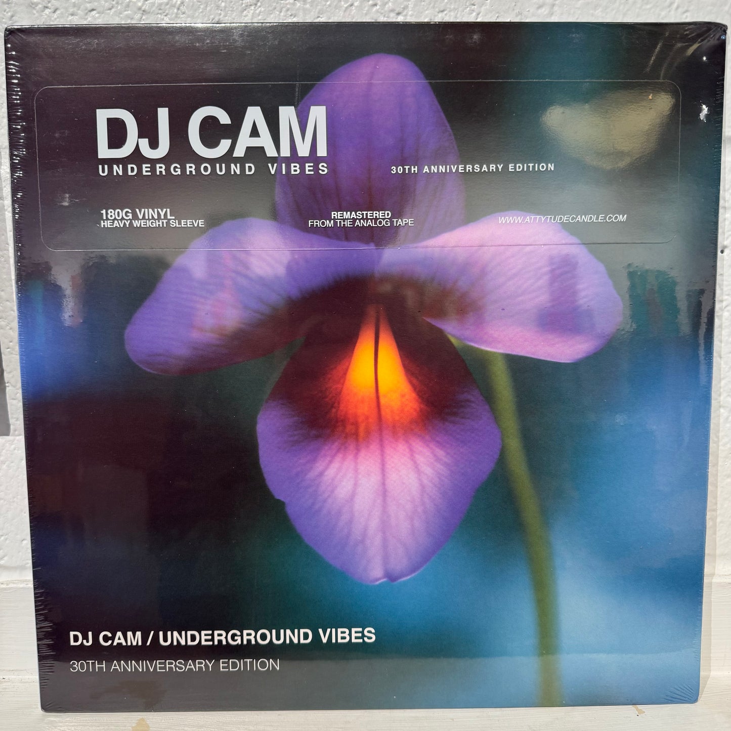 DJ Cam – Underground Vibes