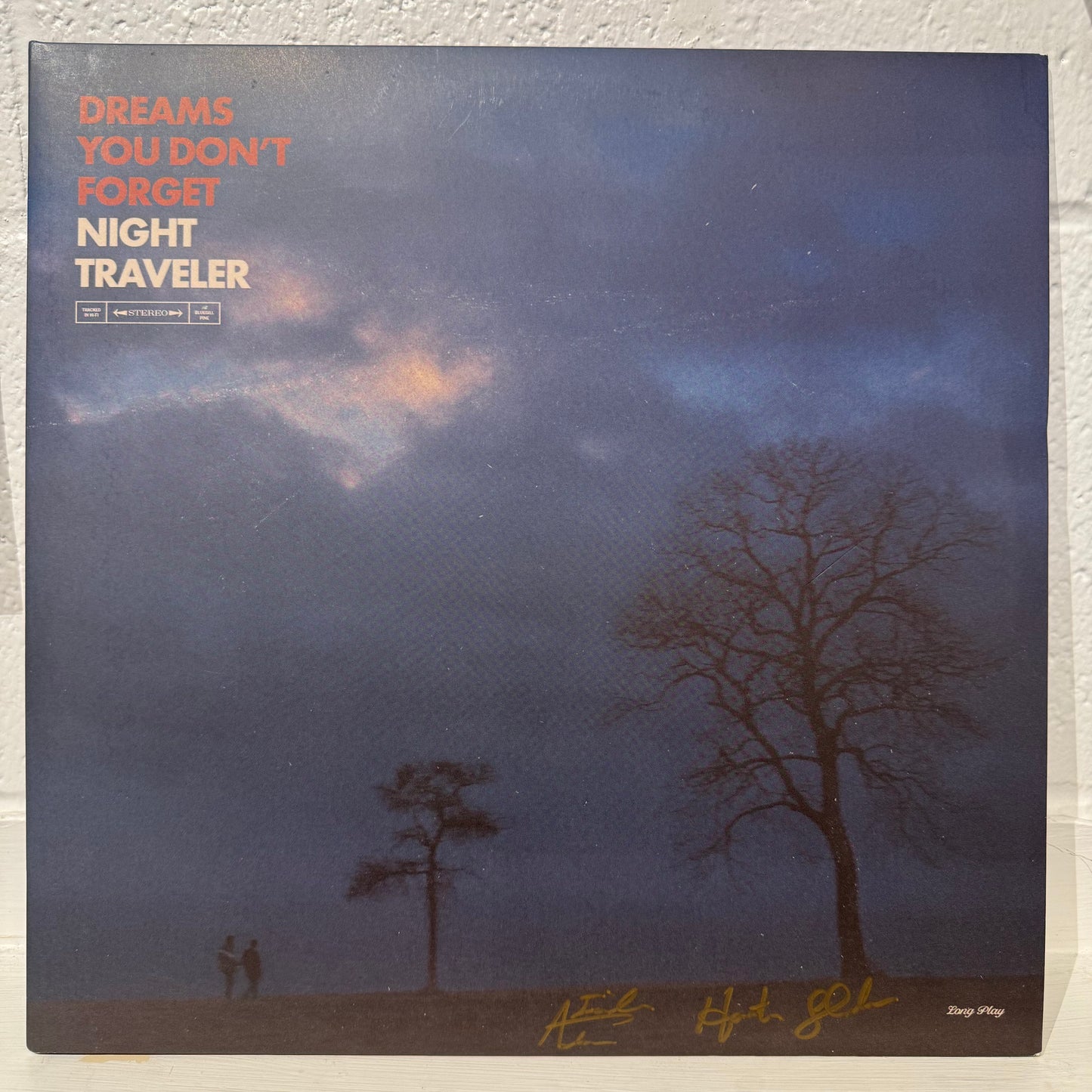 Night Traveler – Dreams You Don't Forget