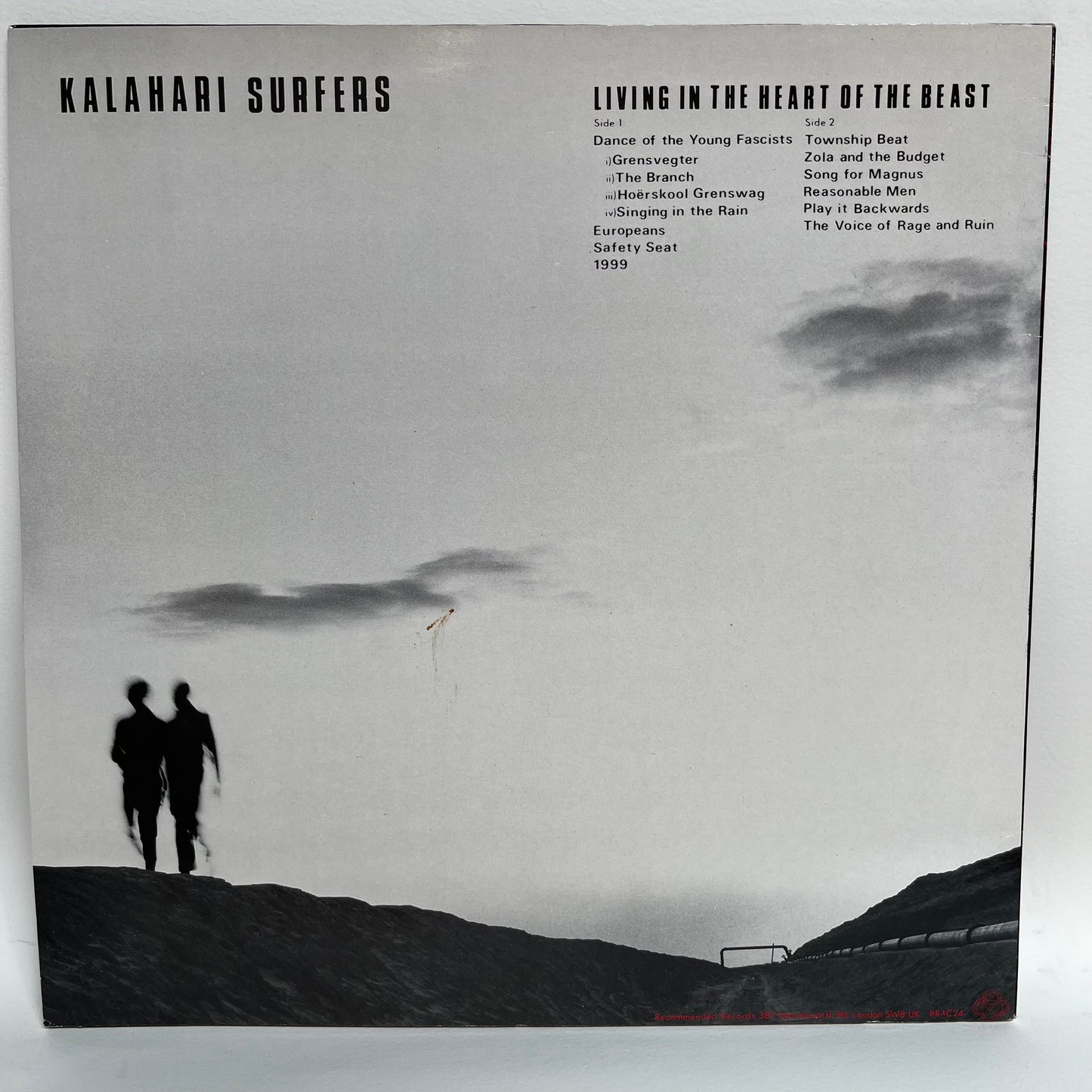 Kalahari Surfers - Living In The Heart Of The Beast