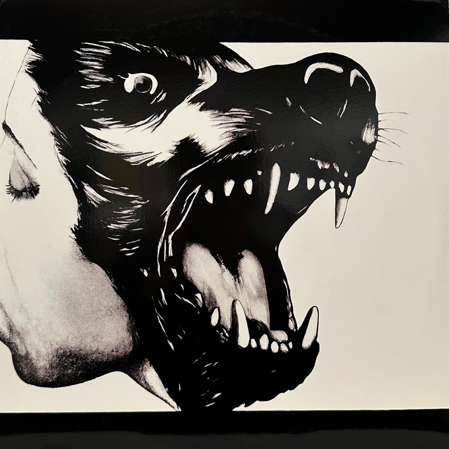 Holy Ghost! – Dynamics