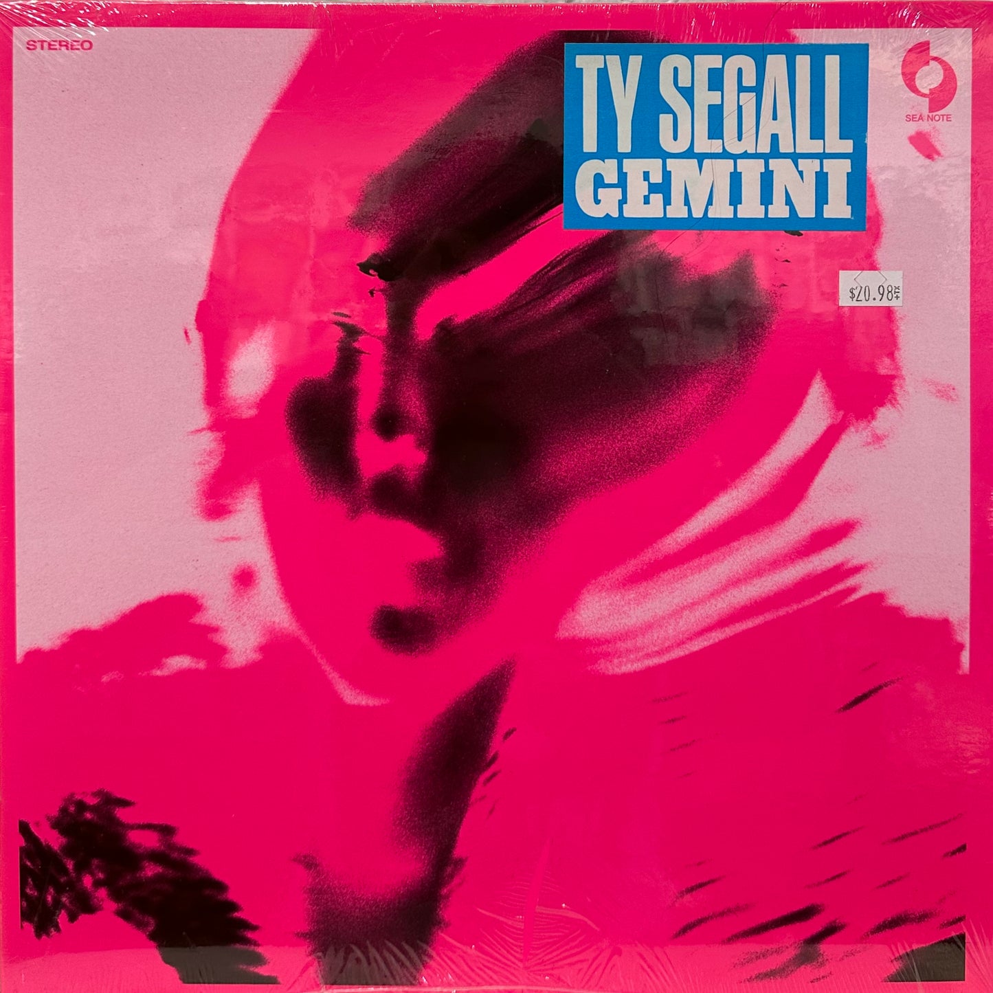 Ty Segall – Gemini