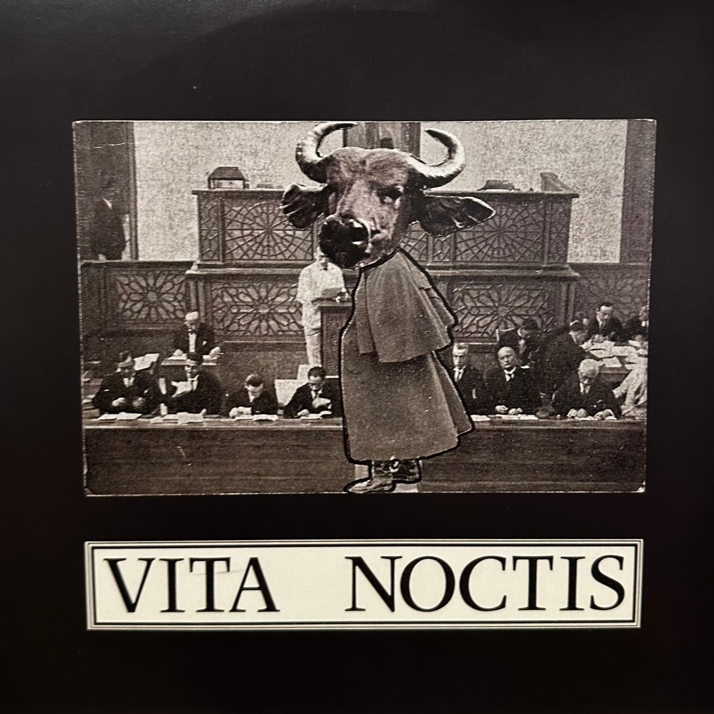 Vita Noctis – Against The Rule