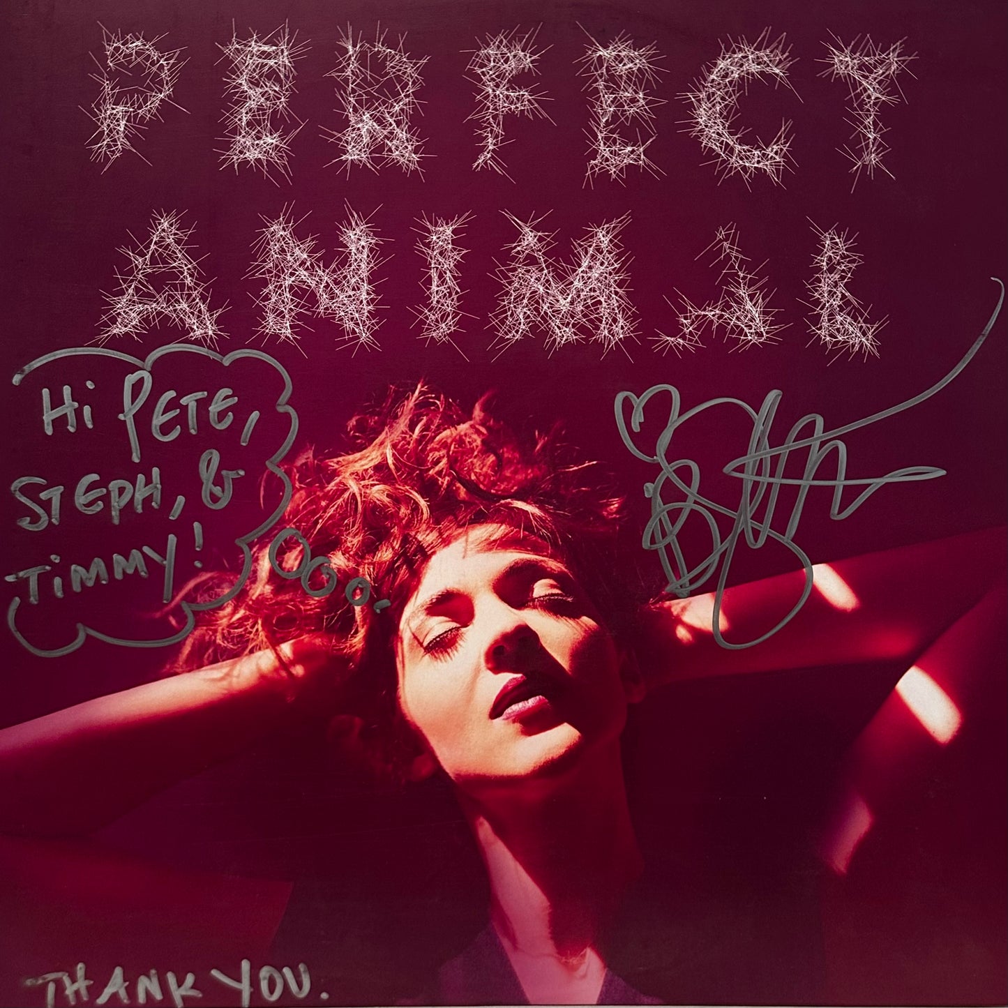 Becca Stevens Band – Perfect Animal