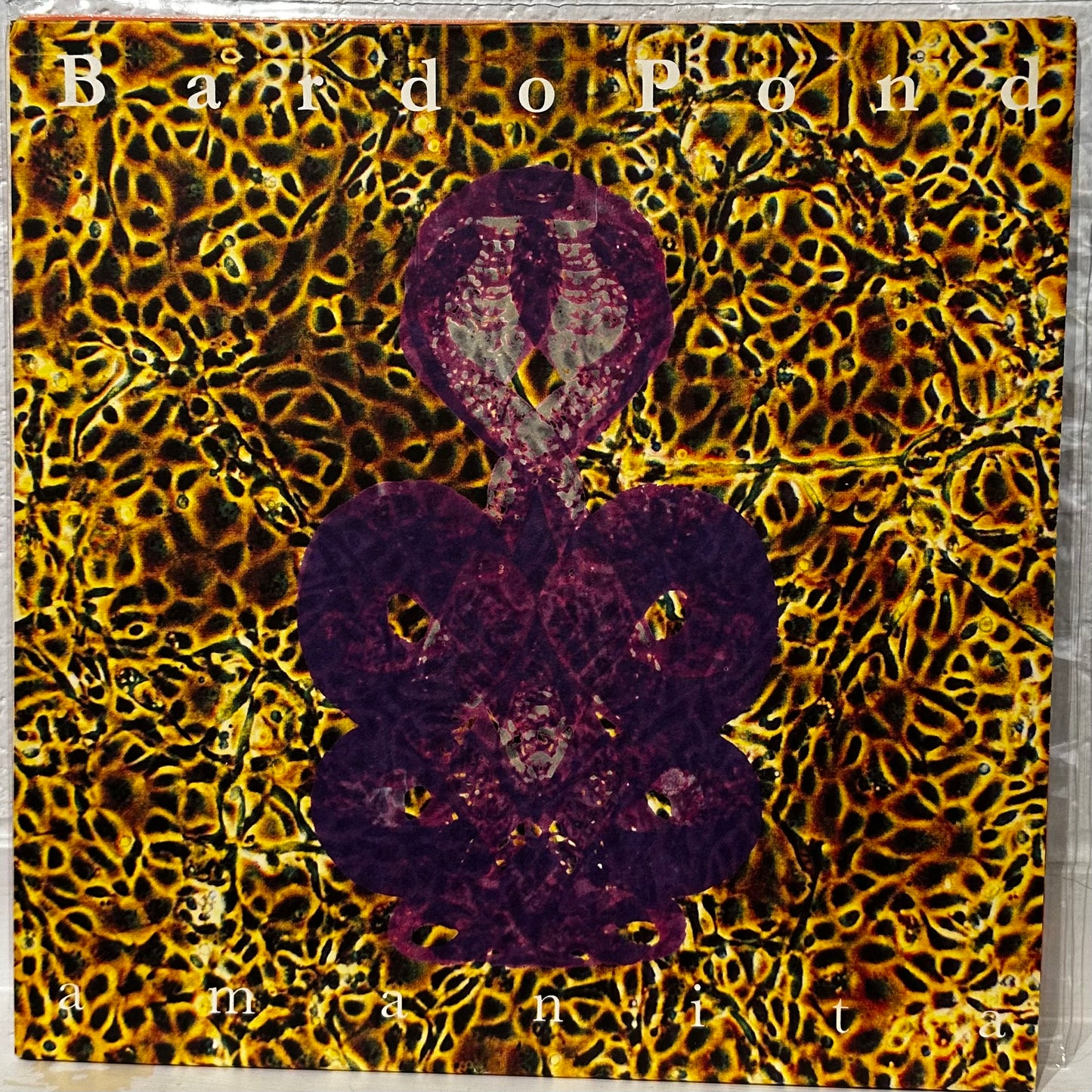 Bardo Pond – Amanita