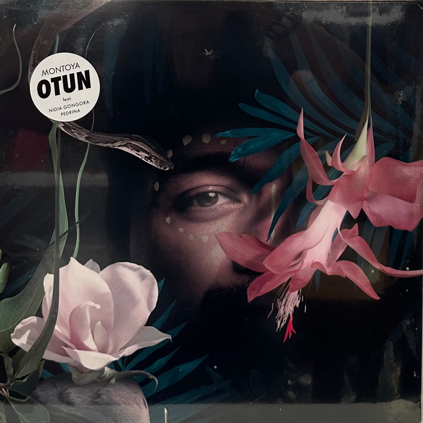 Montoya – Otun