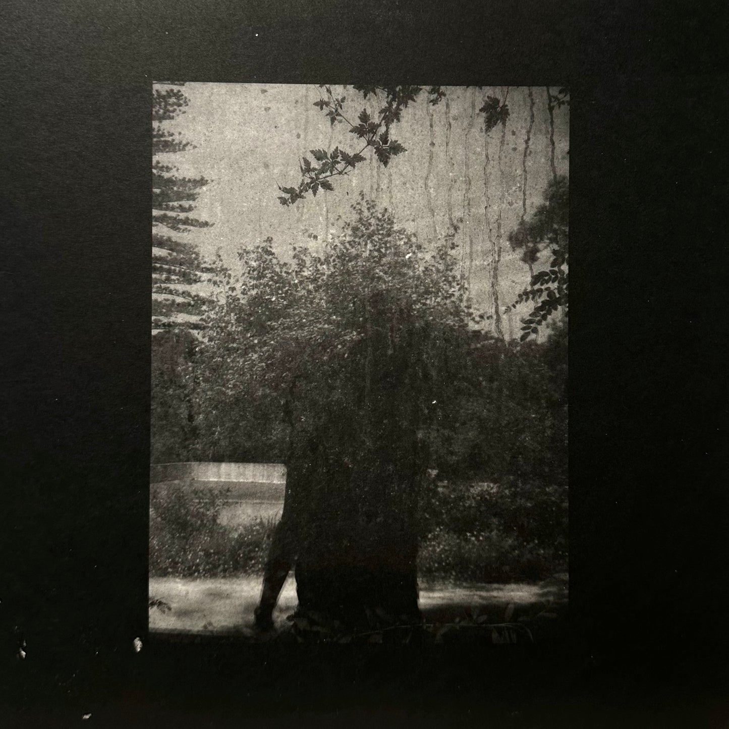 Grouper – Ruins