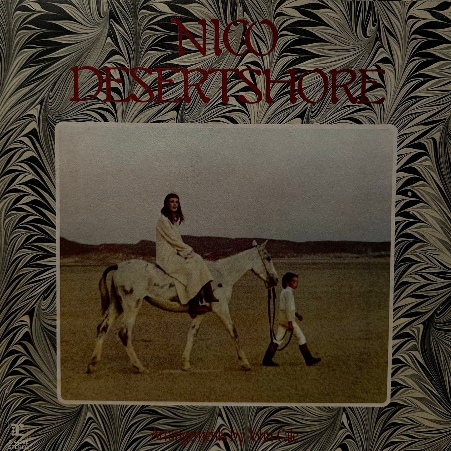 Nico – Desertshore