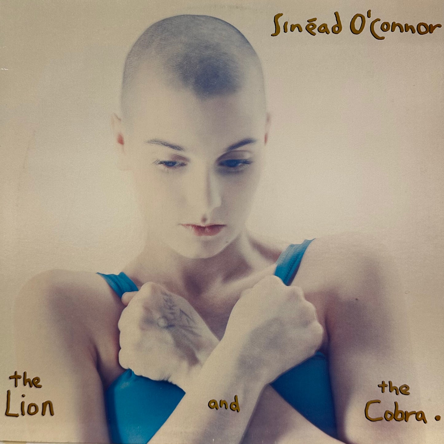 Sinéad O'Connor – The Lion And The Cobra