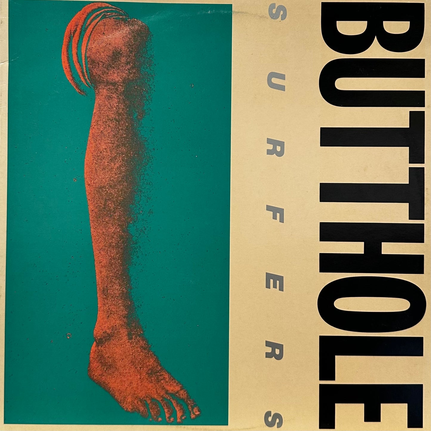 Butthole Surfers – Rembrandt Pussyhorse