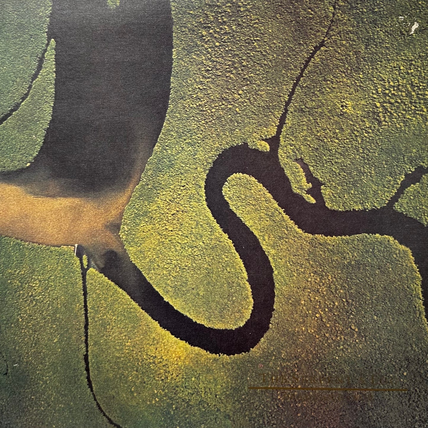 Dead Can Dance – The Serpent's Egg