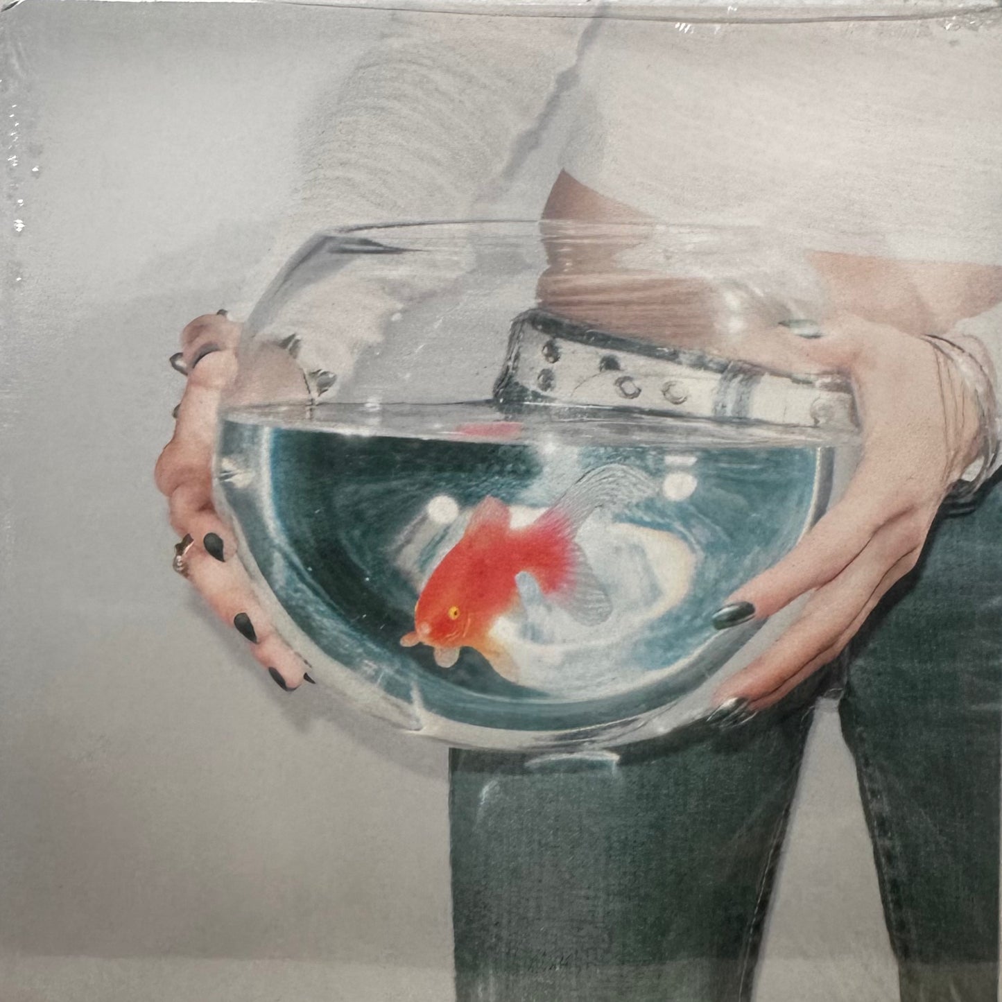 Fish Narc – frog song