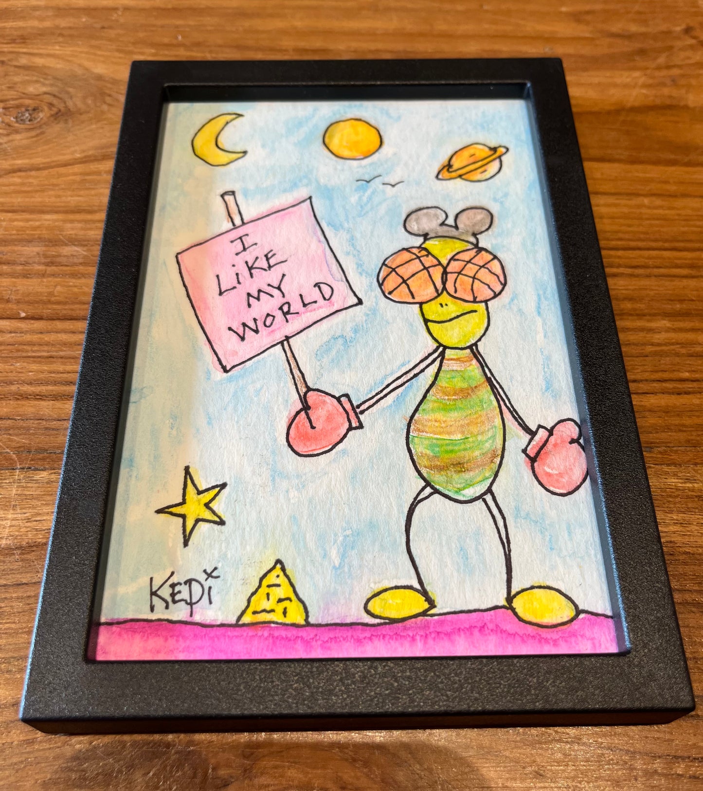 Kepi Ghoulie - 'I Like My World' framed