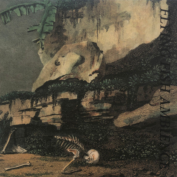 Rainforest Spiritual Enslavement - Flying Fish Ambience