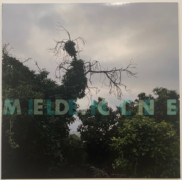 Medicine – Silences