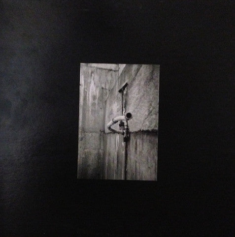 The Pickle Factory - Our Pledge