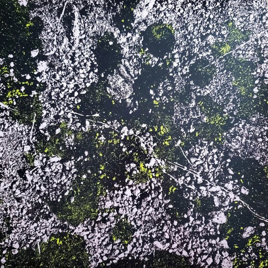 King Gizzard And The Lizard Wizard - Infest The Rats Nest (Live At Red Rocks 2022)