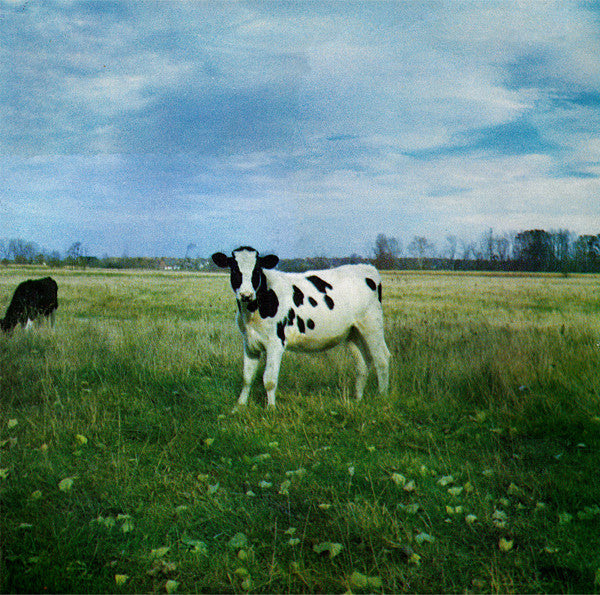 The Screaming Abdabs (Pink Floyd) - The Dark Side Of The Moo