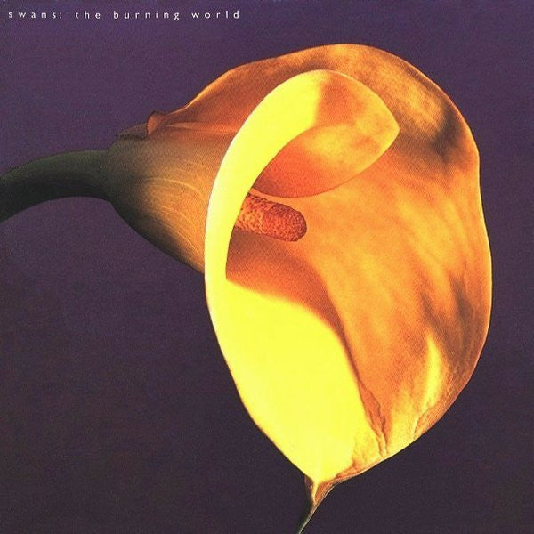 SWANS - The Burning World