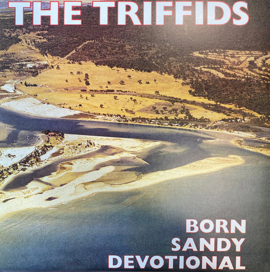 The Triffids – Born Sandy Devotional
