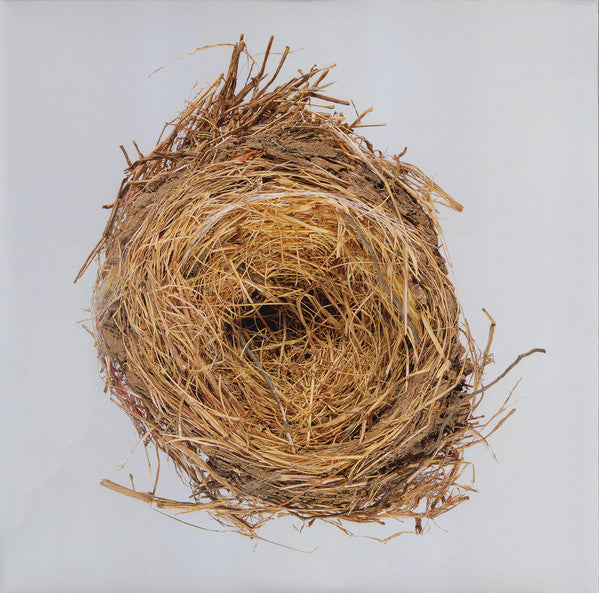 Wilco - A Ghost Is Born