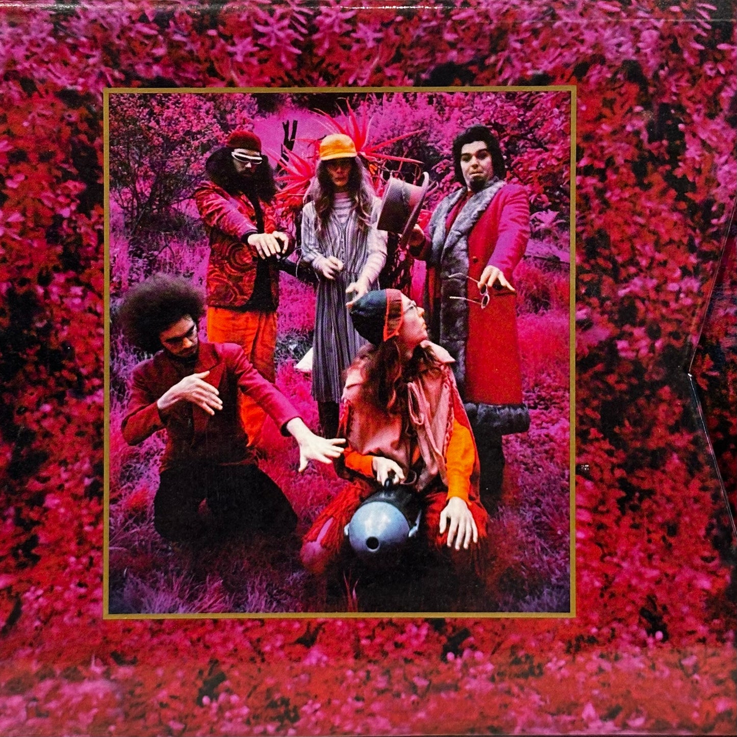 Captain Beefheart & His Magic Band – Grow Fins: Rarities (1965-1982)