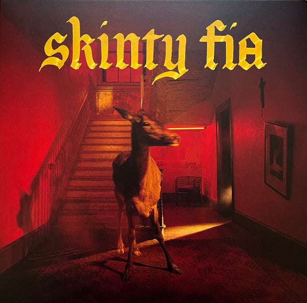 FONTAINES D.C. - Skinty Fia