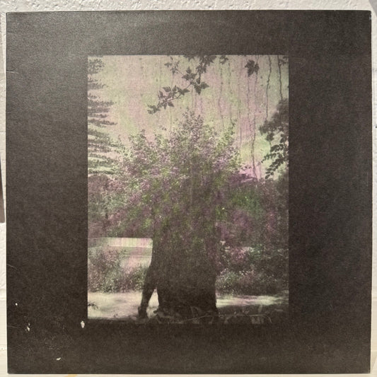 Grouper – Ruins