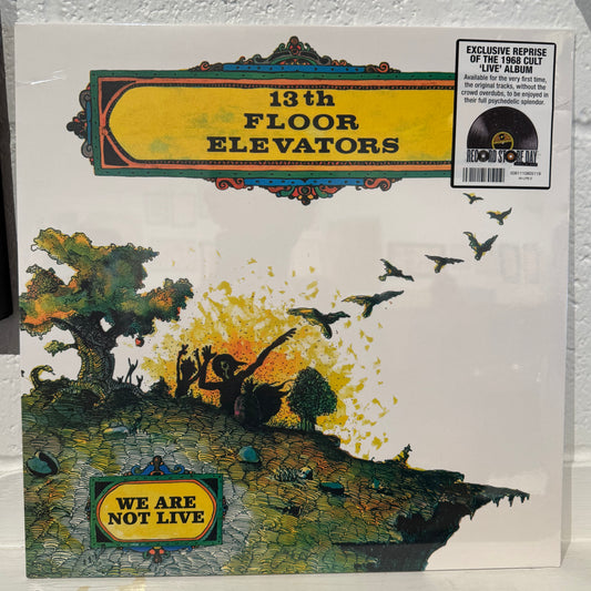 13th Floor Elevators - We Are Not Live (RSD '26)
