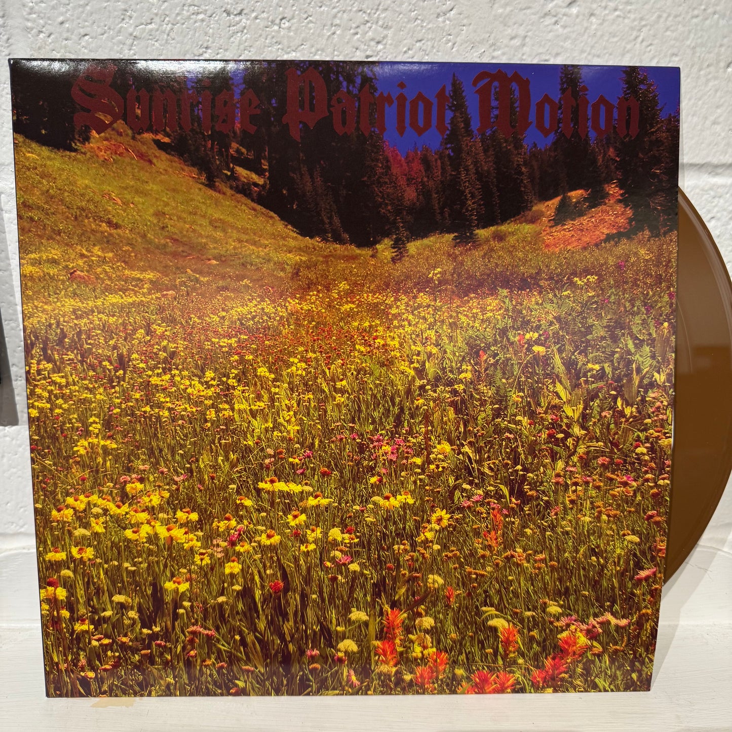 Sunrise Patriot Motion – Black Fellflower Stream