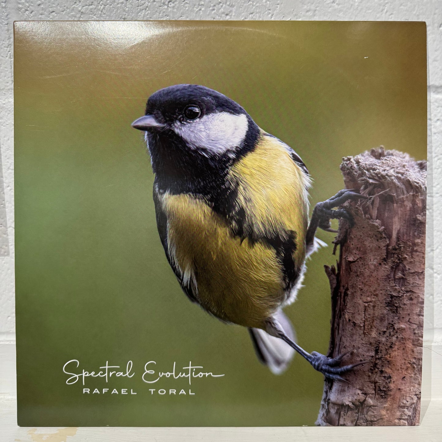 Rafael Toral – Spectral Evolution