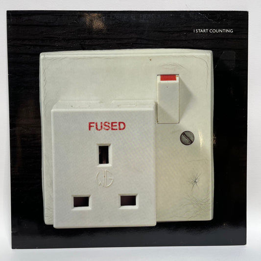 Fused - I Start Counting