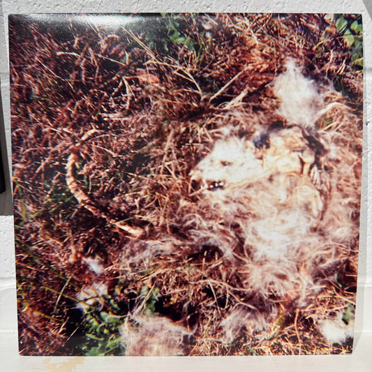 Sewn Leather – I Live Like This Cuz I Like It