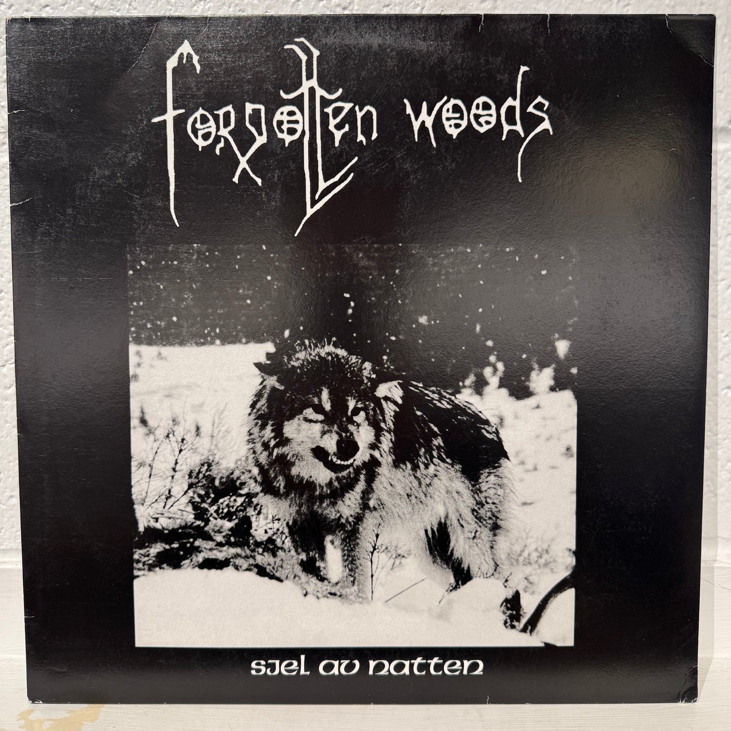 Forgotten Woods – Sjel Av Natten