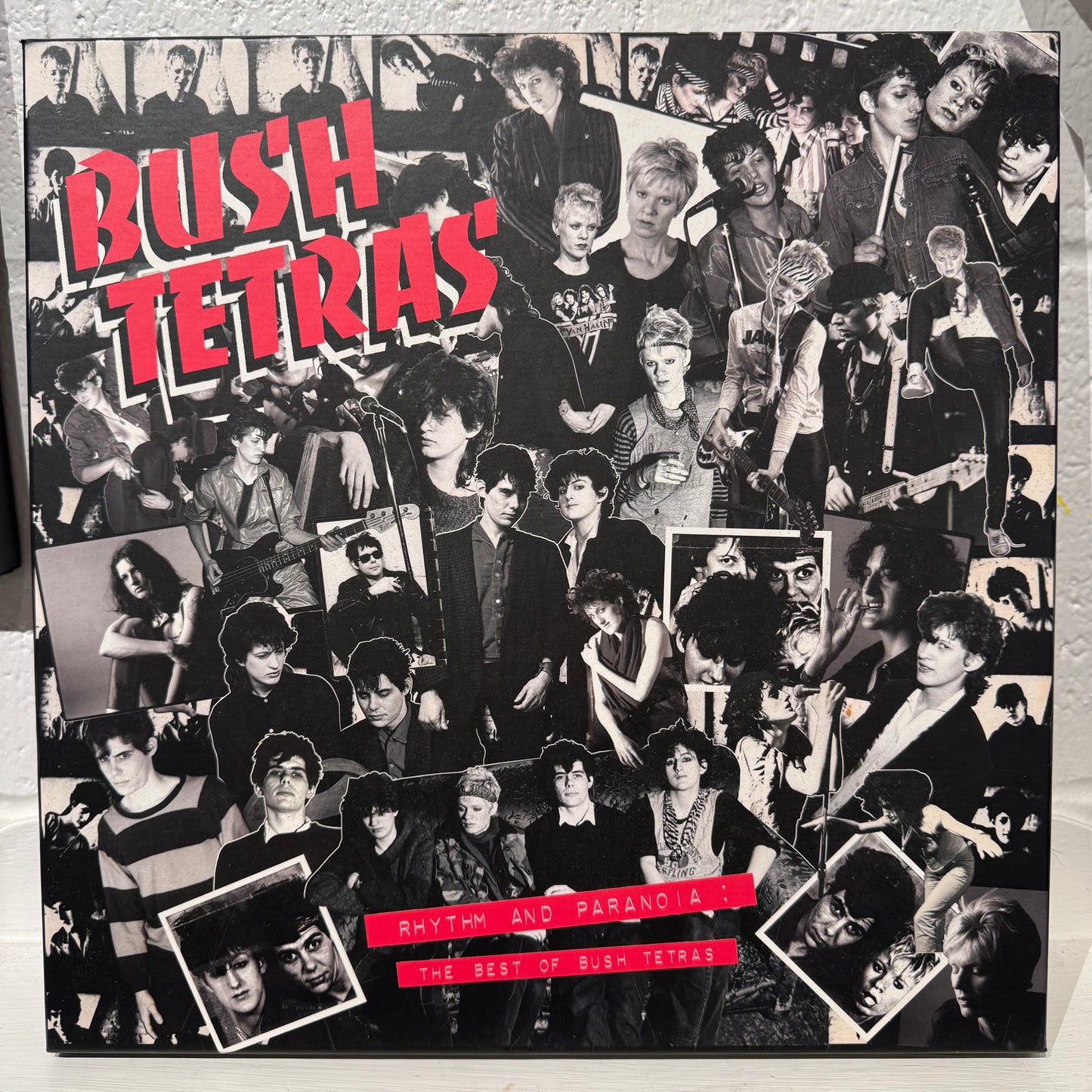 Bush Tetras – Rhythm And Paranoia: The Best Of Bush Tetras