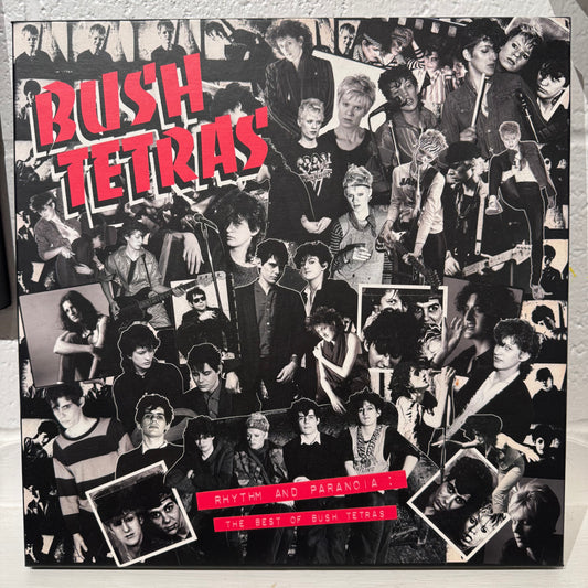 Bush Tetras – Rhythm And Paranoia: The Best Of Bush Tetras