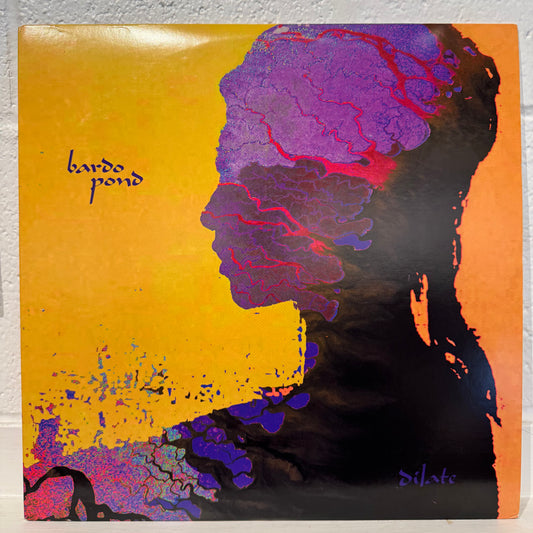 Bardo Pond – Dilate