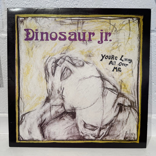 Dinosaur Jr. – You're Living All Over Me