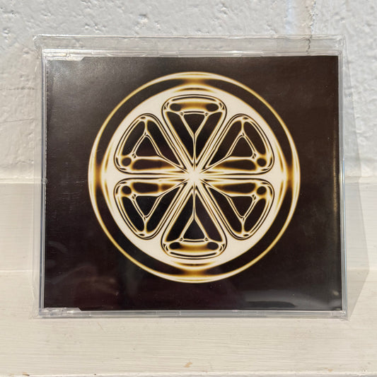 Coil – Summer Solstice: Bee Stings