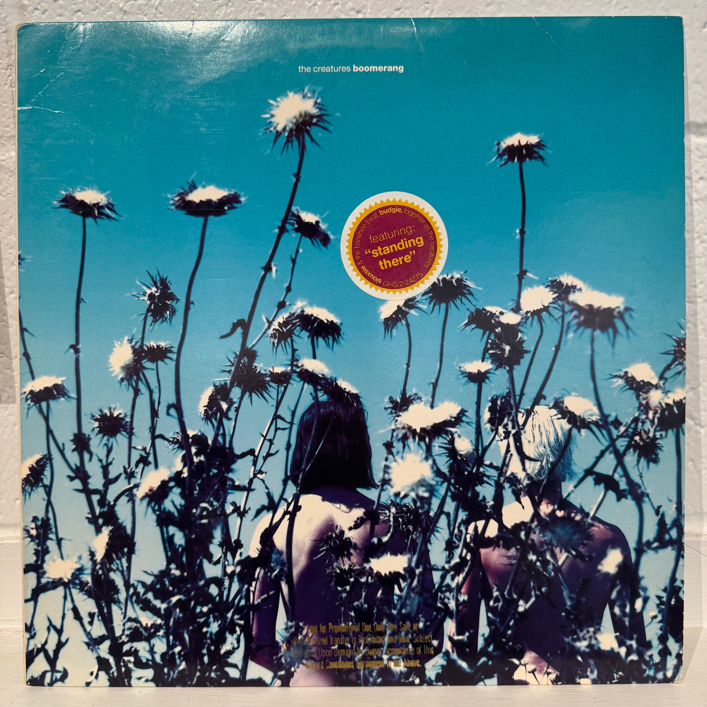 The Creatures – Boomerang