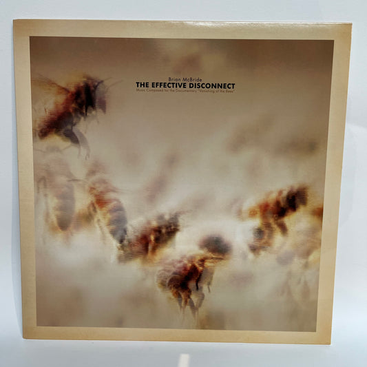 Brian McBride - The Effective Disconnect