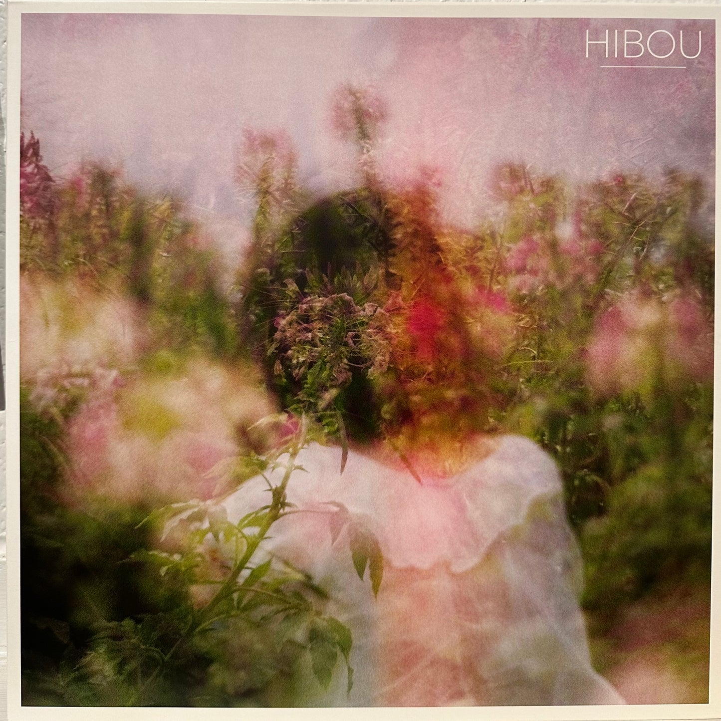 Hibou – Hibou