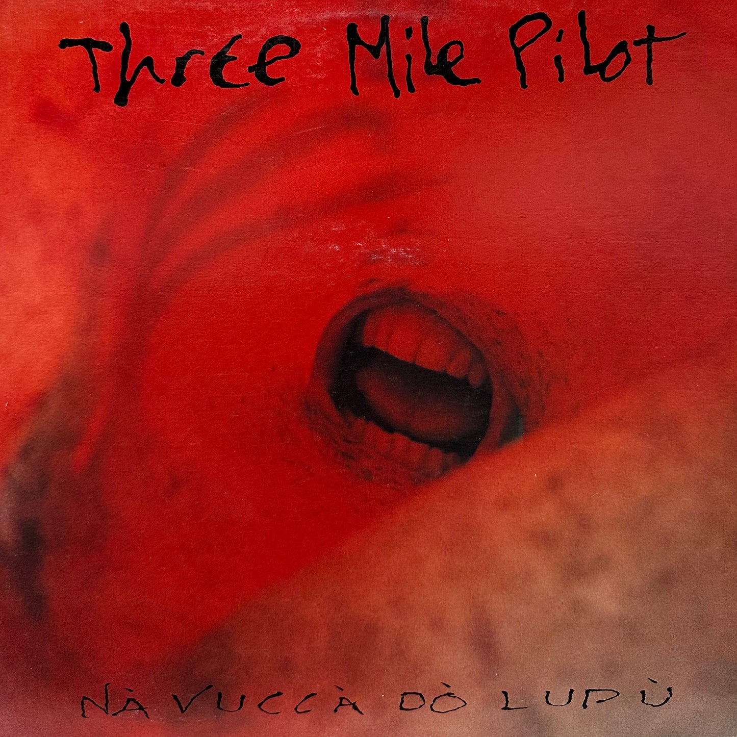 Three Mile Pilot – Nà Vuccà Dò Lupù
