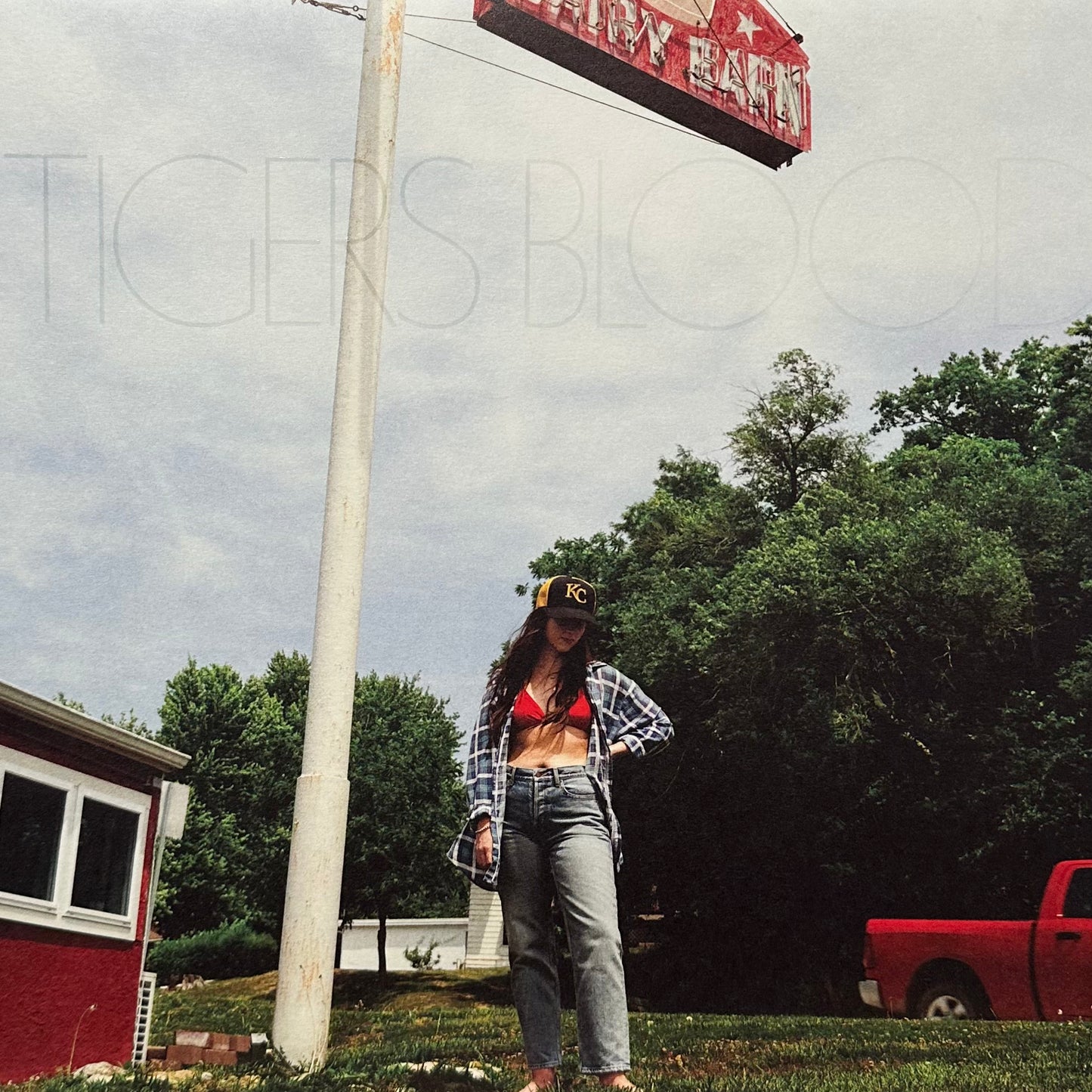 Waxahatchee – Tigers Blood