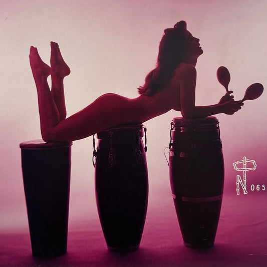 Various – Technicolor Paradise: Rhum Rhapsodies & Other Exotic Delights