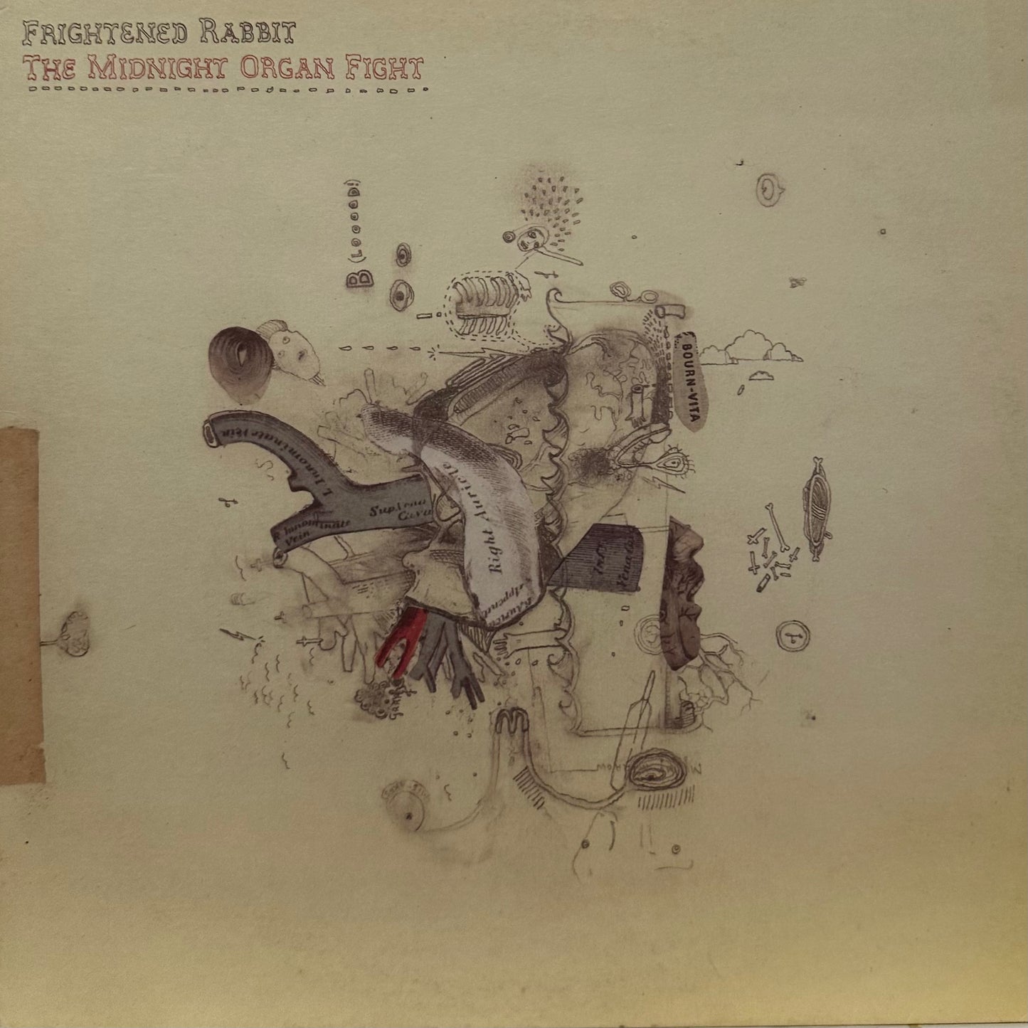 Frightened Rabbit – The Midnight Organ Fight