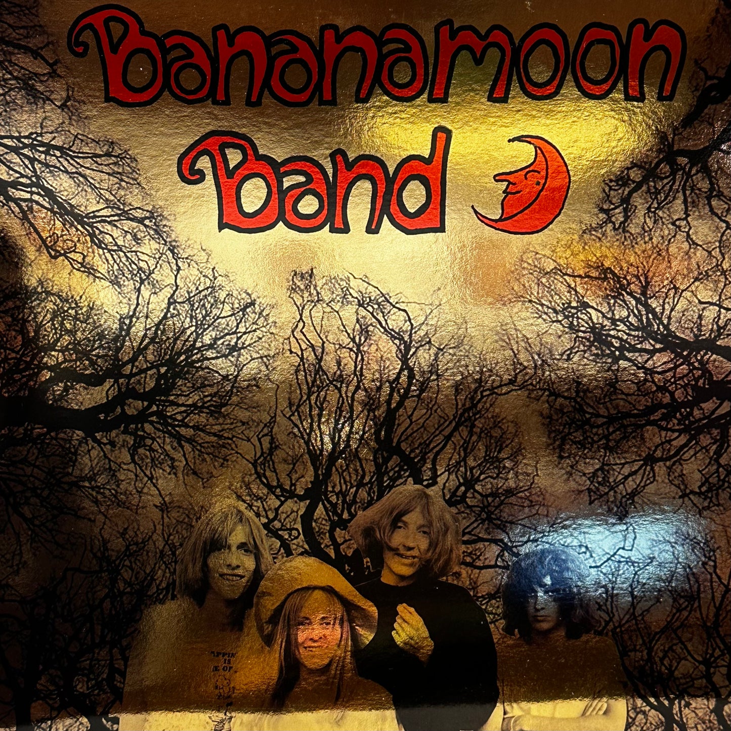 Bananamoon Band – Bananamoon Band